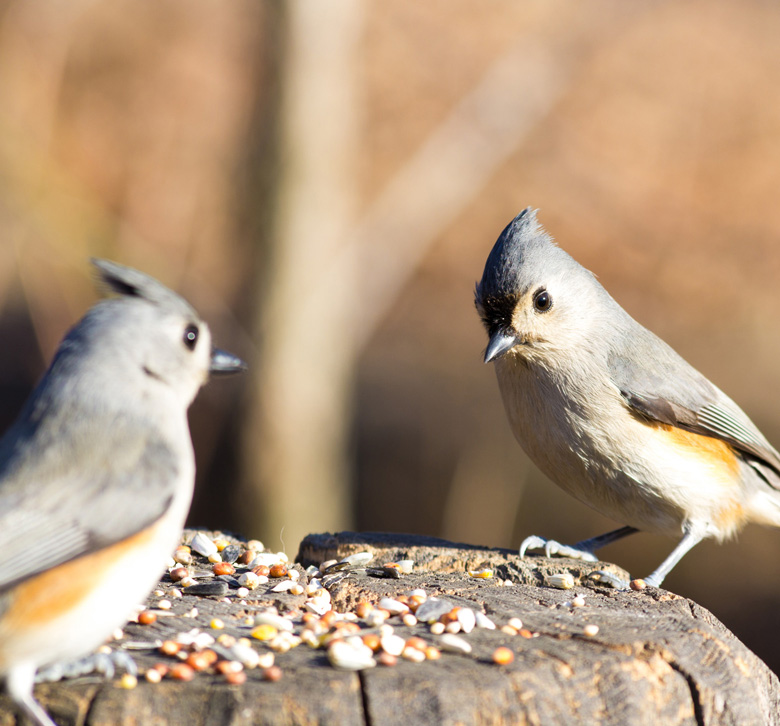 Branżowa szkoła II stopnia