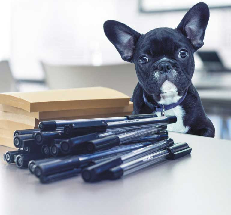 Liceum ogólnokształcące