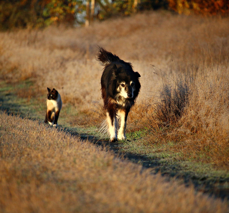 Szkoła Podstawowa dla Dorosłych